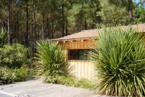 Immersion Forêt Cabane bois Lège Cap Ferret 1-4p